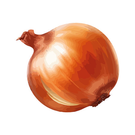 Fresh onion vegetables, nature healthy mealのイラスト素材