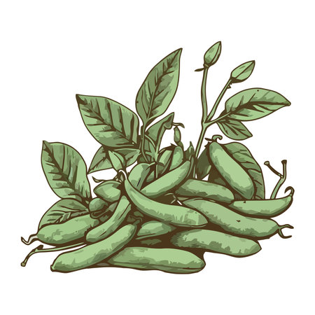Fresh organic vegetable peas and leafのイラスト素材