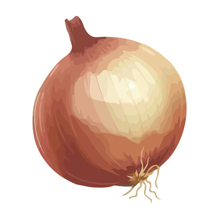 Fresh organic onion, ripe vegetable eatingのイラスト素材