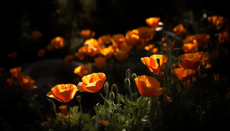 Vibrant wildflower meadow in the rural landscape at dusk generated by artificial intelligenceの素材