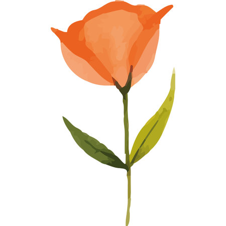 orange rose flower garden nature iconのイラスト素材