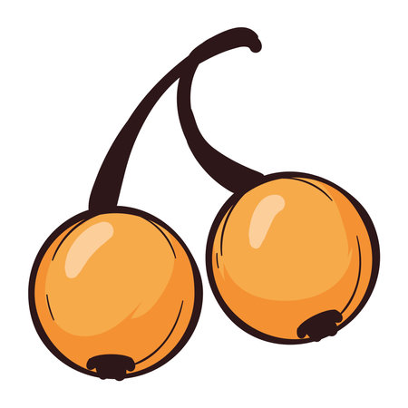 autumn nature fruitsのイラスト素材