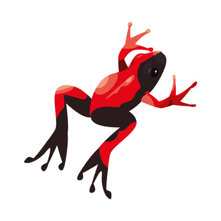 frog exotic illustrationのイラスト素材