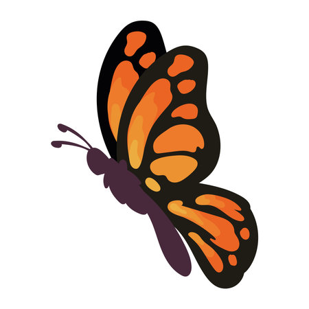 butterfly wild isolatedのイラスト素材