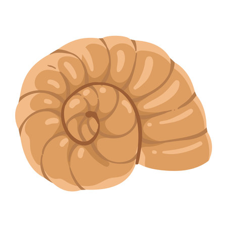 sea life snail molluskのイラスト素材