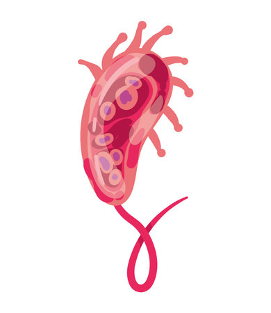 virus nipah viralのイラスト素材
