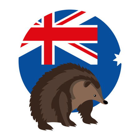 australia day flag and echidnaのイラスト素材