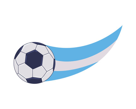 soccer argentina ball and flagのイラスト素材