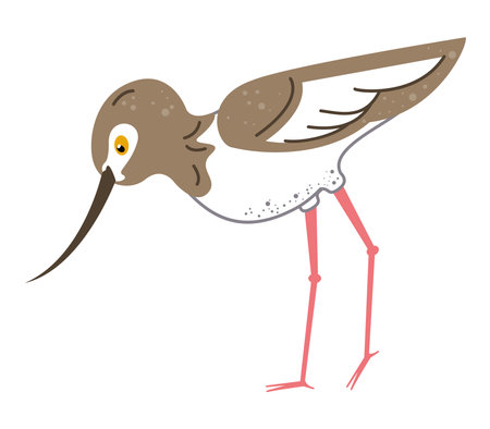 common sniper birdのイラスト素材