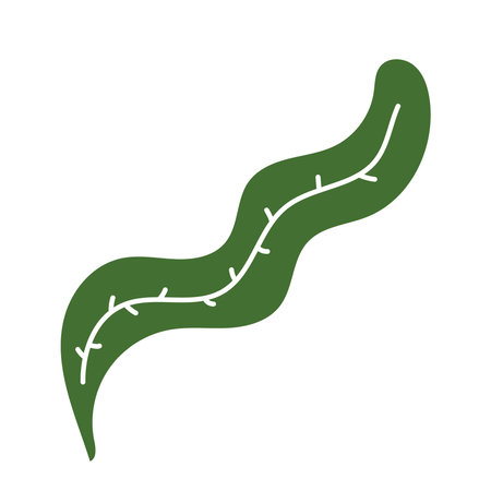 leaf drawing nature elementのイラスト素材