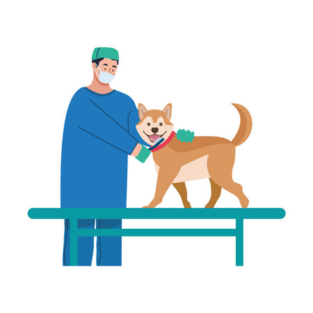 Pet dental doctor checkup iconのイラスト素材