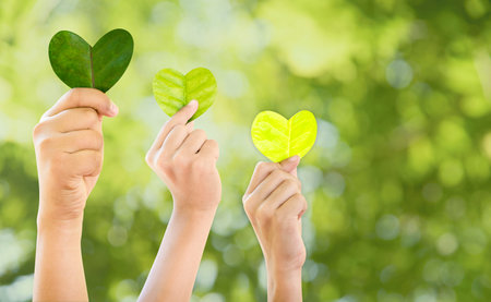 Hands holding green heart shaped tree and planting trees, loving the environment and protecting...