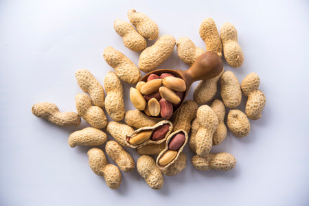 Peanuts in wooden spoon a collection of whole peanuts in their shells and a few without shells,healthy snacking concept with peanuts rich in protein, isolated on white background.の写真素材