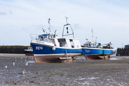 Two blue boats  with seagulls at Folkestone harbour at low tide, Kent, UK