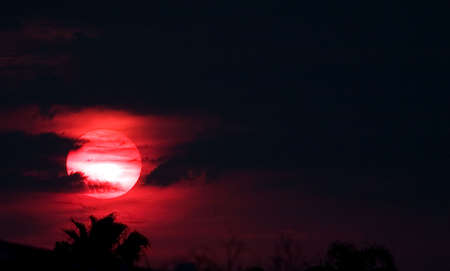 Red sun settling behind palm tree topの写真素材