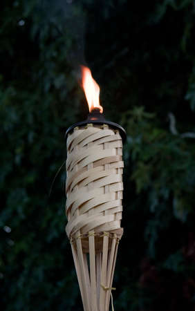 Burning Tiki Torch with blurred maple tree backgroundの写真素材