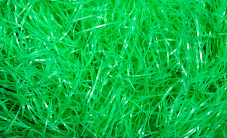 Green easter grass backgroundの写真素材