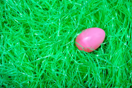Pink Easter egg on bed of easter grassの写真素材
