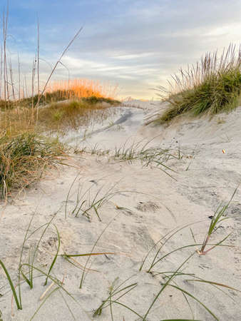 Sunset on the beach of the Baltic Sea with dunes and grassの写真素材