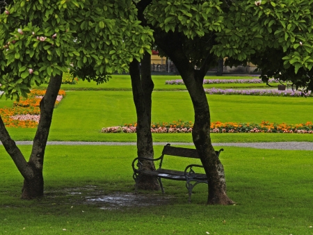 City park after summer showerの写真素材