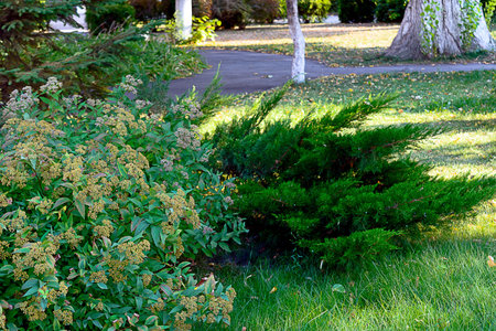Park with beautiful avenues, flowerbeds and shrubs.