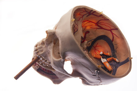 Opened skull with ash and cigarettes, non smoking concept