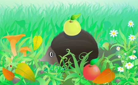 Funny hedgehog with apple in the forest among autumn grass, leaves and mushroomsのイラスト素材