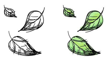 sketch of falling leaves  Black and white and colorful green variants のイラスト素材
