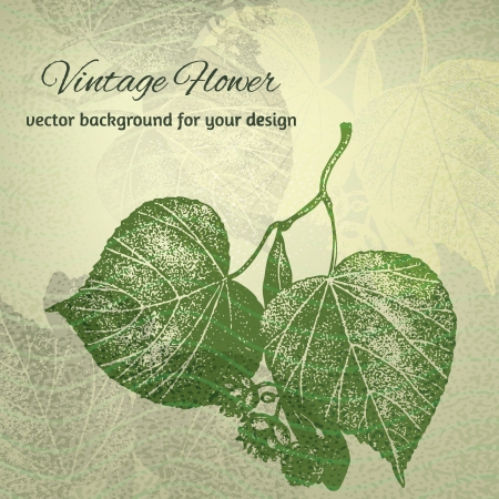 Lime tree leaves. Hand drawn illustrationのイラスト素材