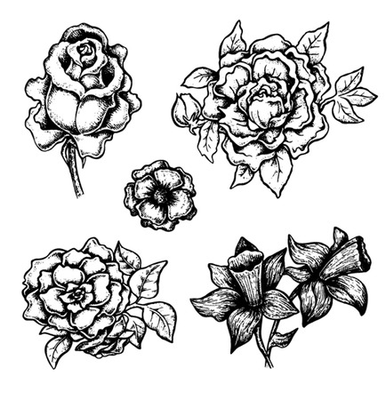 Set of black and white ink style vector flowersのイラスト素材
