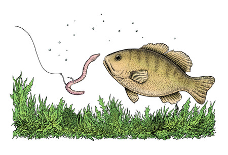 Fishing illustrationの写真素材
