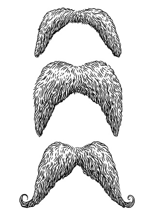Moustache illustration, engraving, ink, line art, vectorのイラスト素材