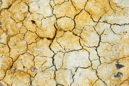 Dry soil textureの写真素材