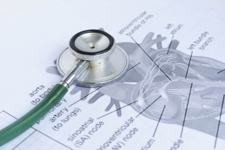 stethoscope on a picture of a human heartの写真素材