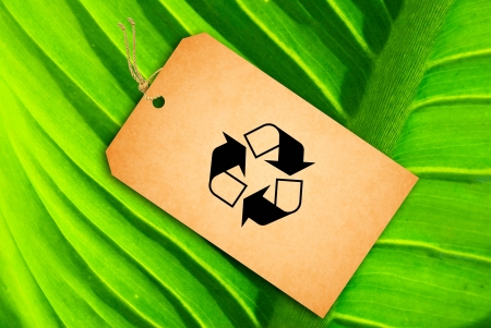 Sale Tag on a green leaf as backgroundの写真素材
