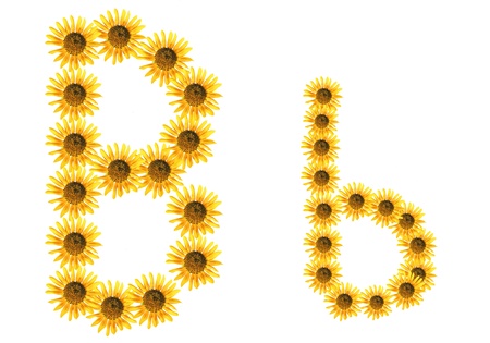 Font flowerの写真素材