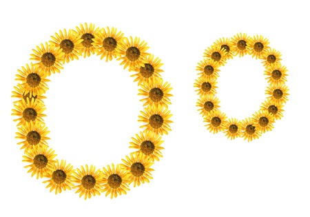 Font flowerの写真素材