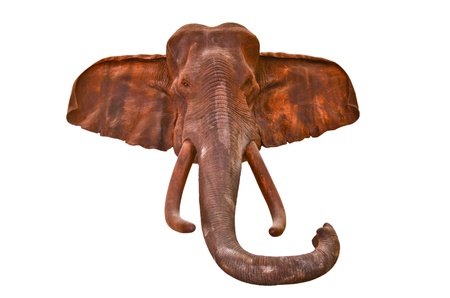 Elephant Head isolatedの写真素材