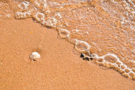 beachの写真素材