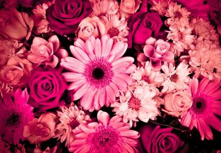 Flowerの写真素材