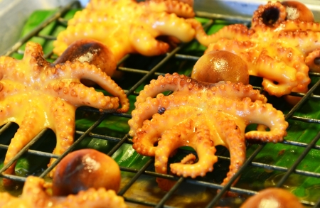 Grilled Squidの写真素材