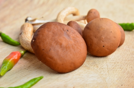 Fresh brown mushroomsの写真素材