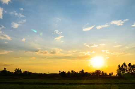 rice field in sunset with cloudscapeの写真素材