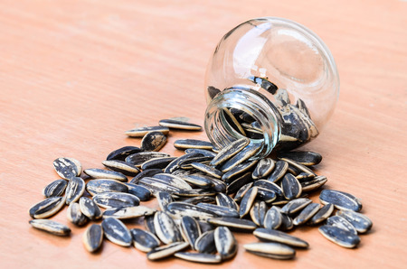 sunflower seedsの写真素材