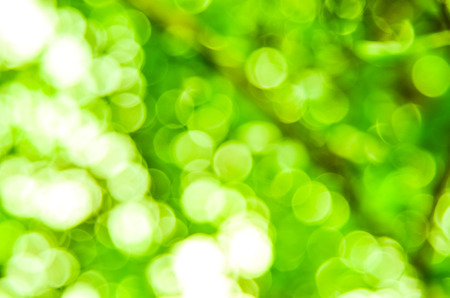 Green bokeh abstract light backgroundの写真素材