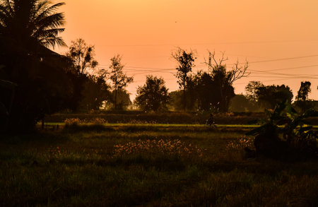 Sun rises over the Clare Valleyの写真素材