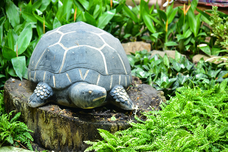 Turtle statue in the gardenの写真素材