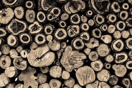 Wood background