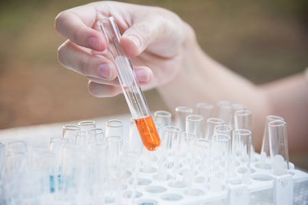 Lab science research glass items adding drop to one of several test tubes. A scientific experiment in a science research Laboratory.の写真素材