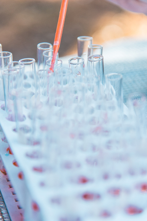 Lab science research glass items adding drop to one of several test tubes. A scientific experiment in a science research Laboratory.の写真素材